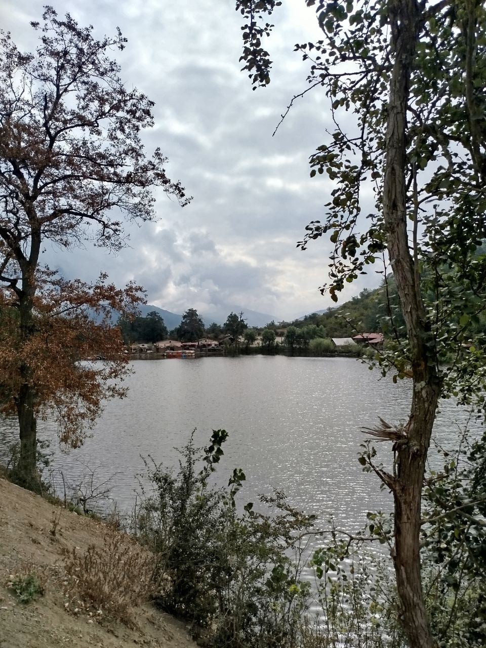 تصویر 1