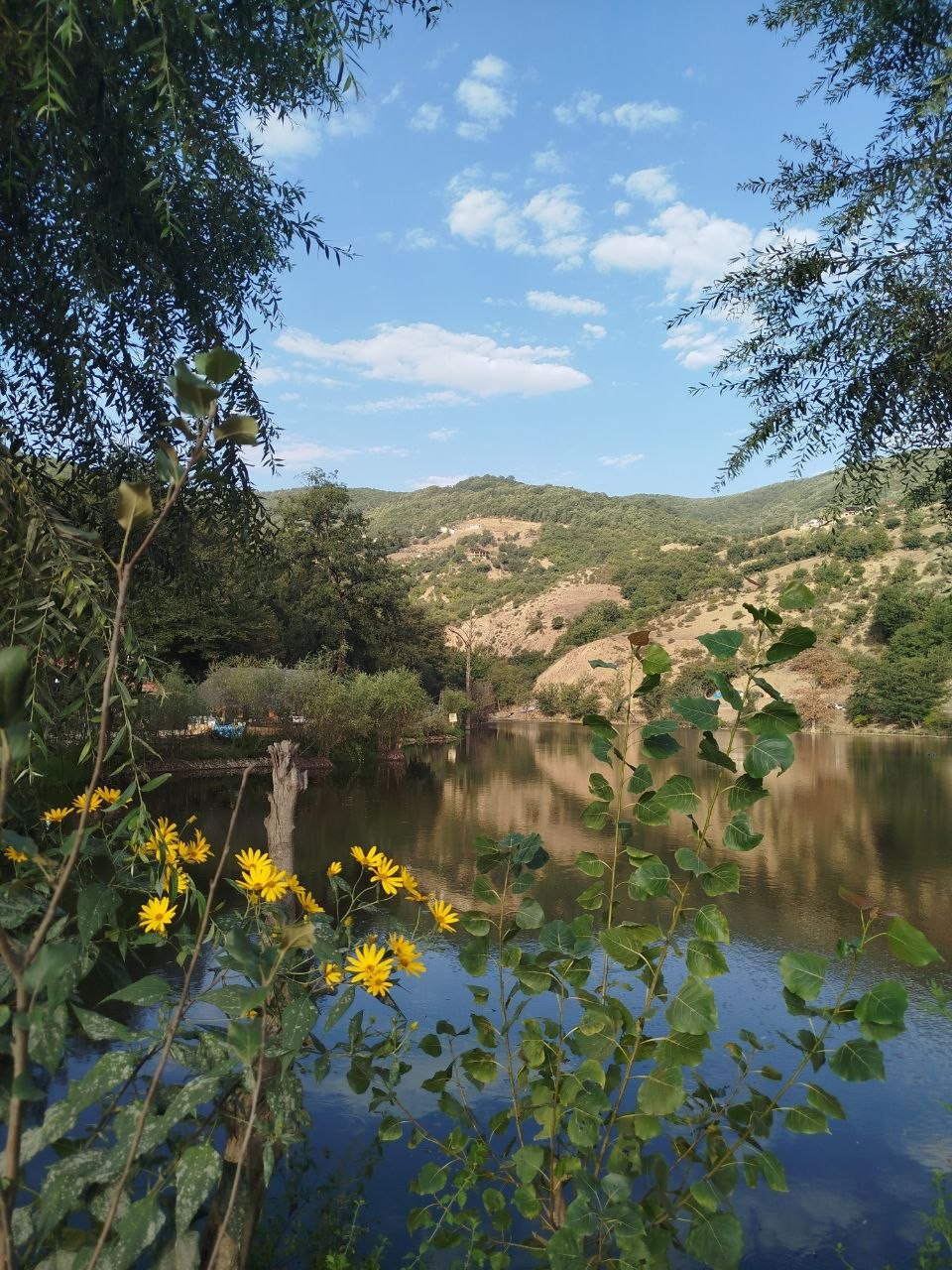 تصویر 2
