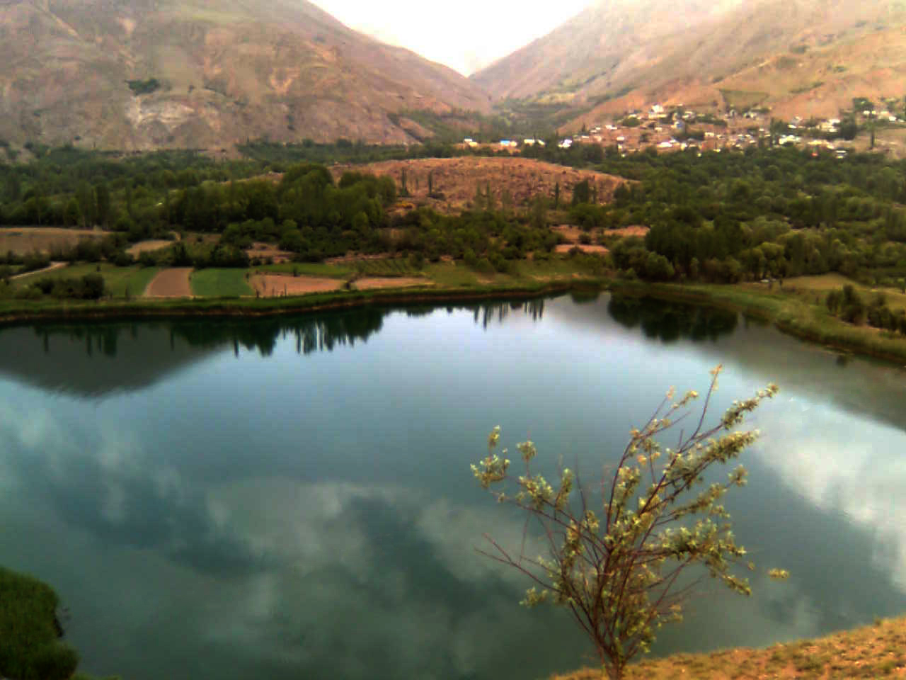 تصویر 2