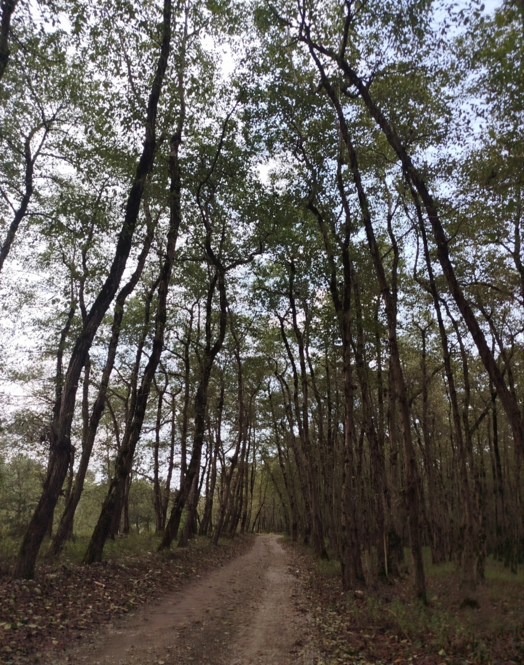 تصویر 1