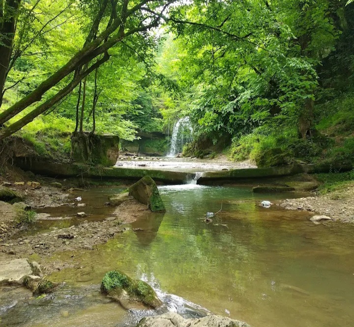تصویر 2