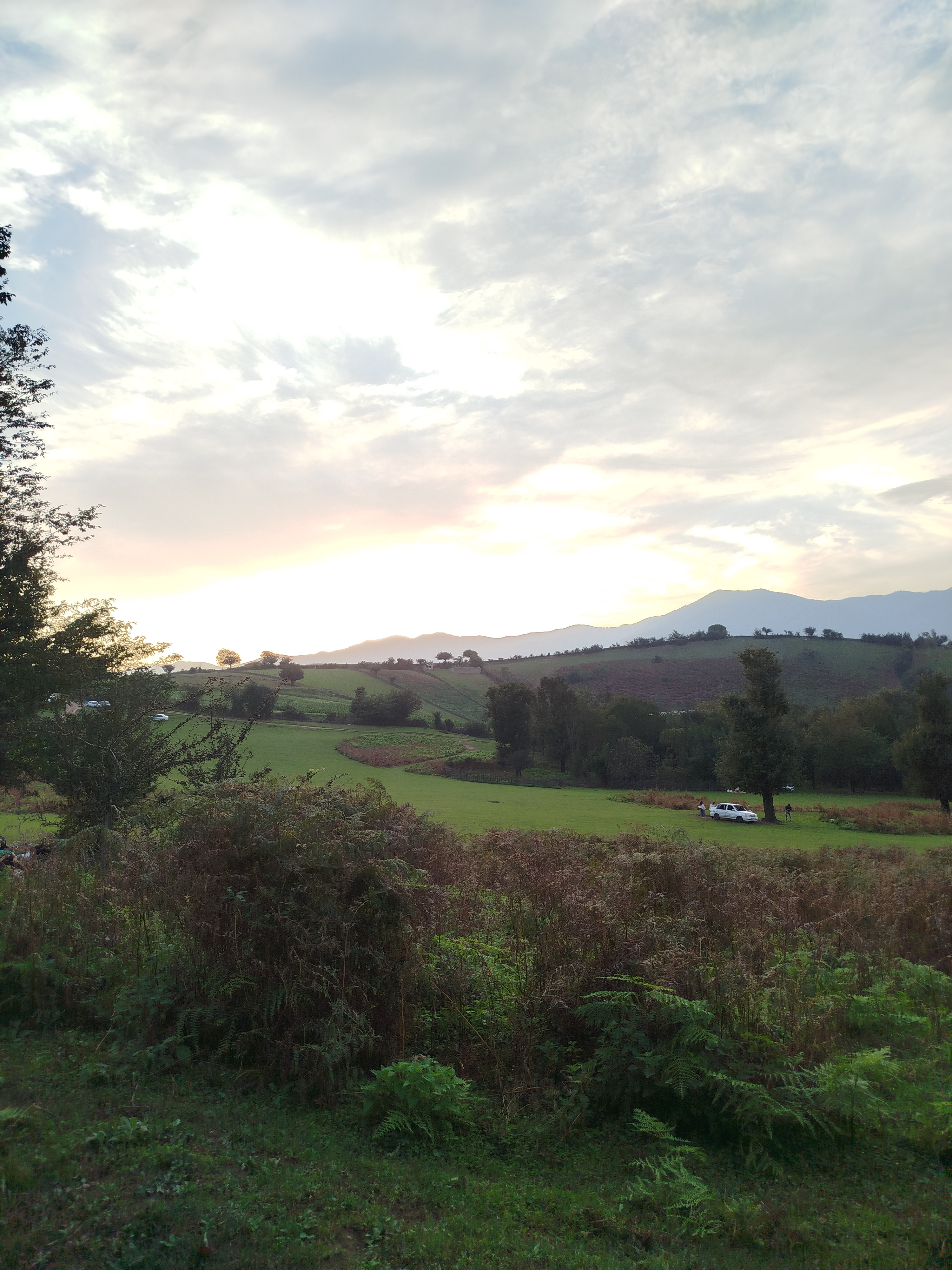 تصویر 2