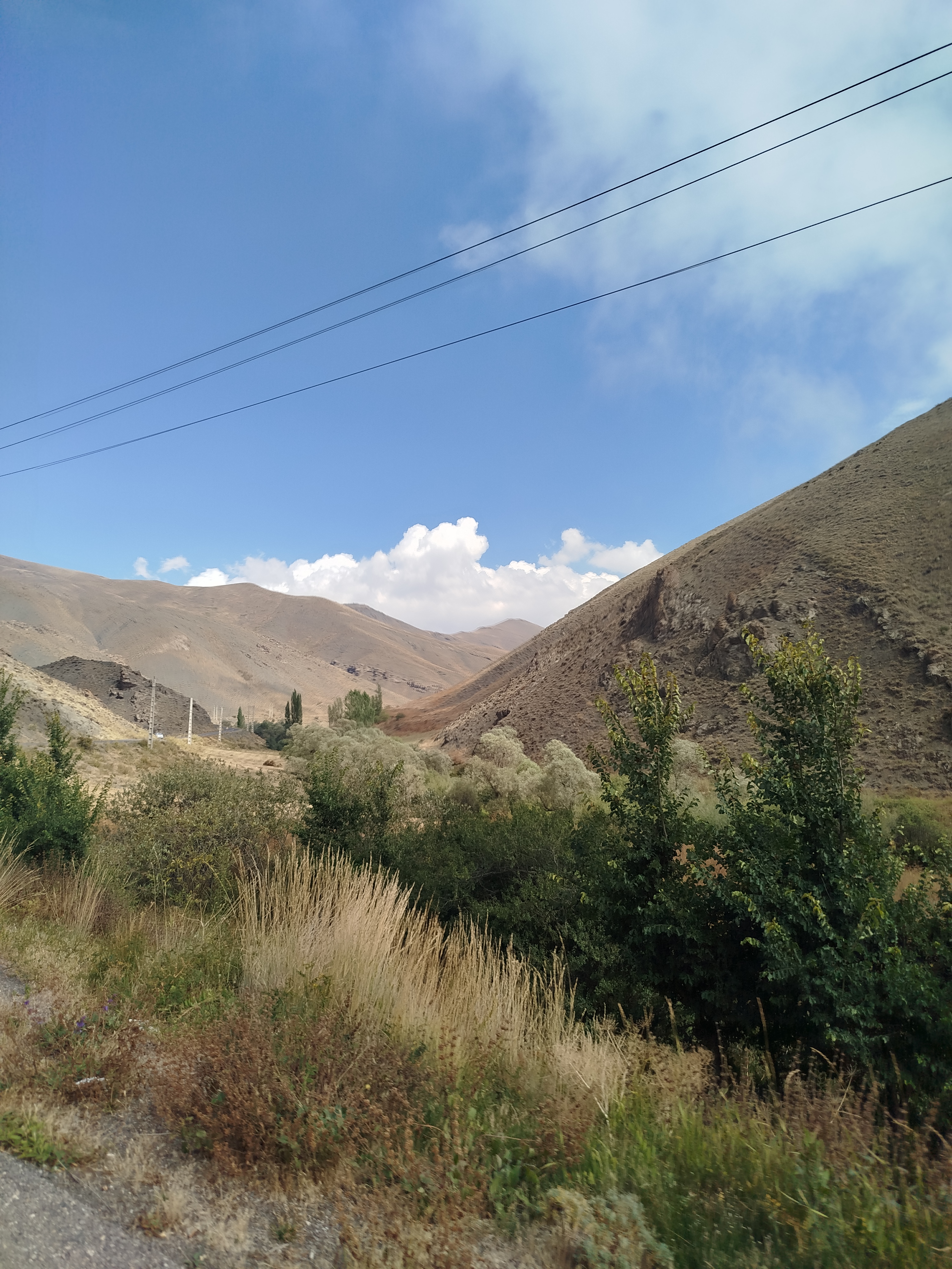 تصویر 3